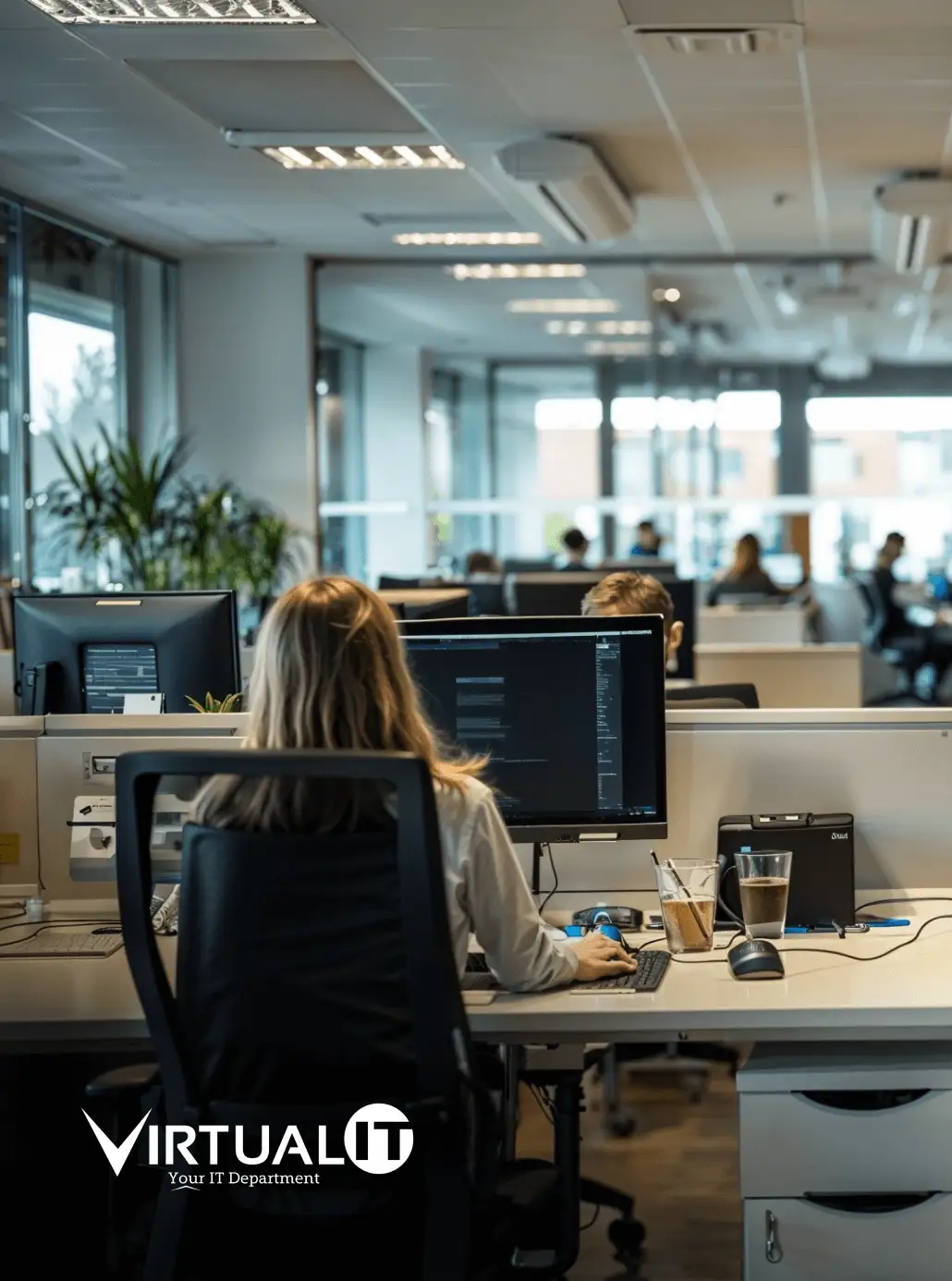 IT Outsourcing in Idaho